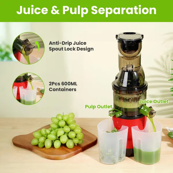 Cold Press Juicer Machine 300W Electric Slow Masticating Juicer For