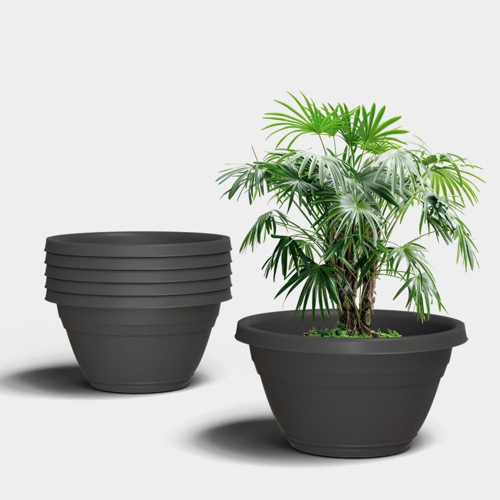 15 Inch Bonsai Planter Pot Grey Set of 6