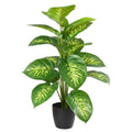 Dieffenbachia Artificial Plant 2.2ft Decor