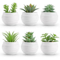 Mini Succulent Artificial Plants Set of 6